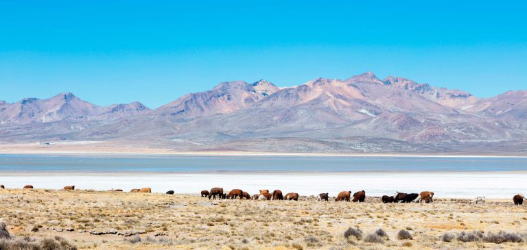 view-arequipa-salinas