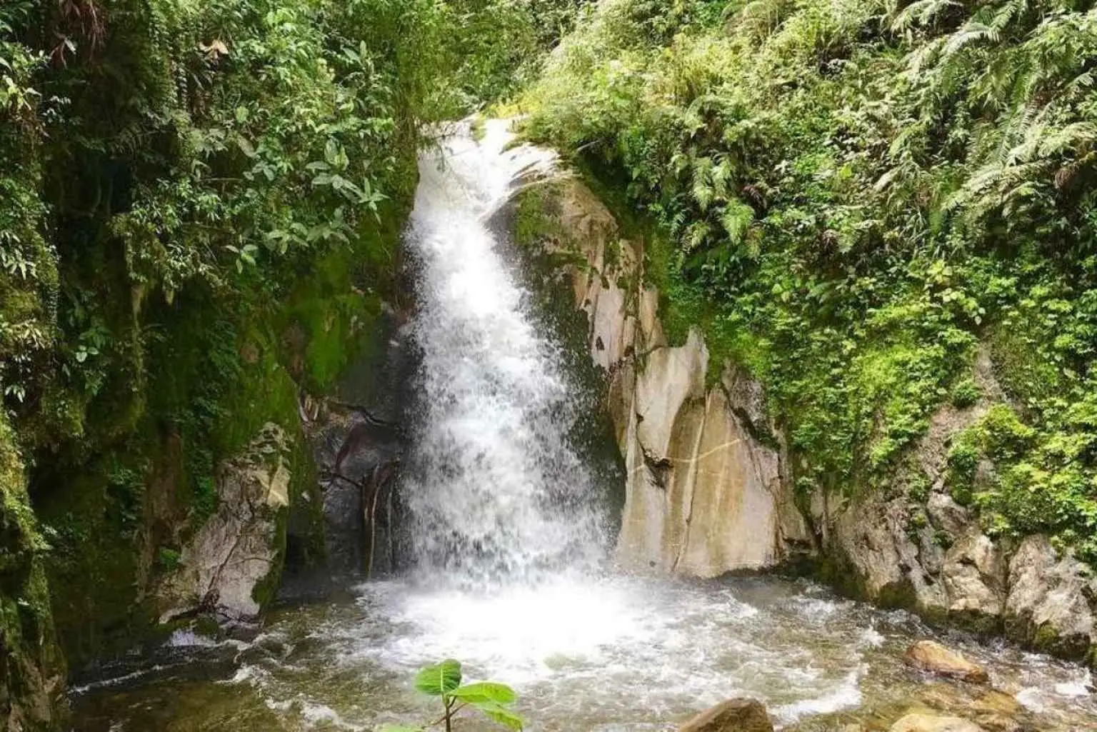 Amazon Jungle Waterfall Peru
