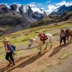 Andean Guides Horses Mountain Trail 2