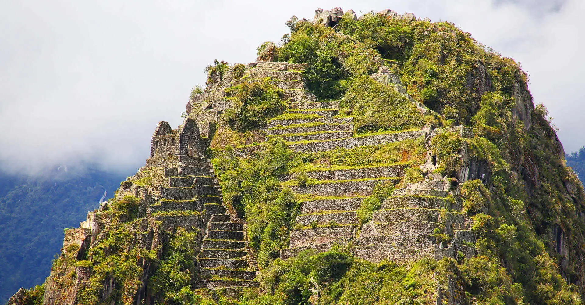 Huayna Picchu Terraces Misty Close Up