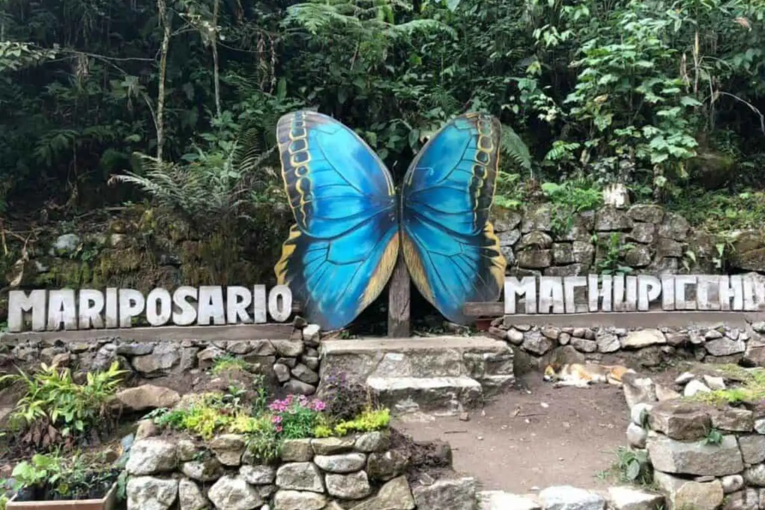 Mariposario Machu Picchu Butterfly Sign