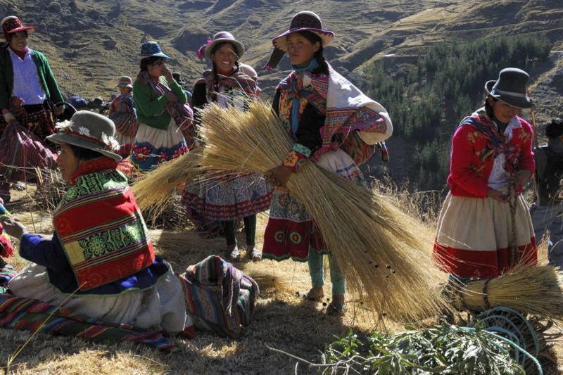 Quechua Women Harvesting Straw Andes