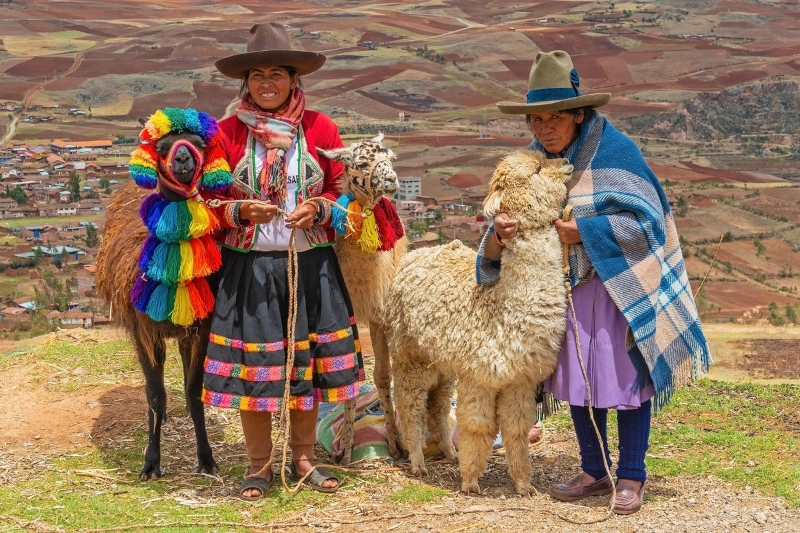 Quechua Women Traditional Dress Llamas Alpaca