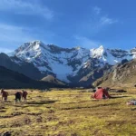 Ausangate Campsite Horses Snow Peak