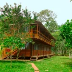 Manu Jungle Lodge