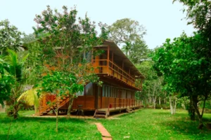 Manu Cultural Zone 4 days
